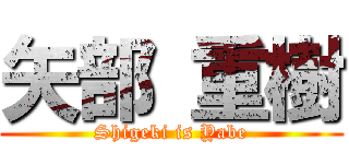 矢部 重樹 (Shigeki is Yabe)