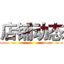 店铺动态 ()