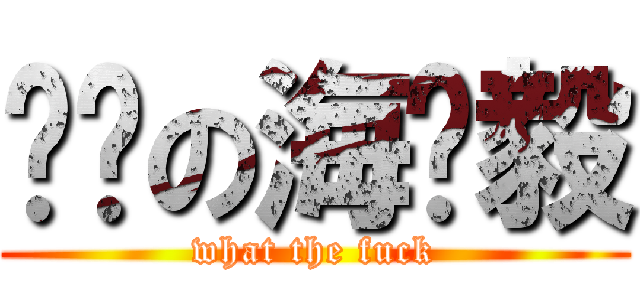 屌丝の海贼毅 (what the fuck)