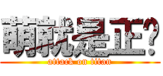 萌就是正义 (attack on titan)