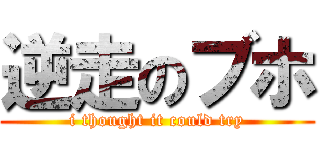 逆走のブホ (i thought it could try)
