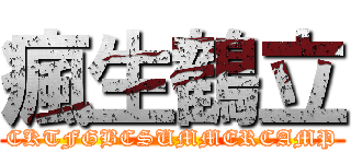 瘋生鶴立 (CKTFGBCSUMMERCAMP)