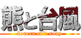 熊と台風 (korean cult sony)