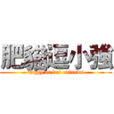 肥貓逗小強 (Oggy et les cafards)