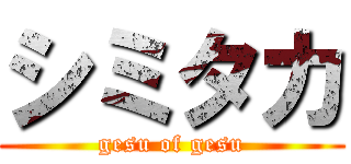 シミタカ (gesu of gesu)