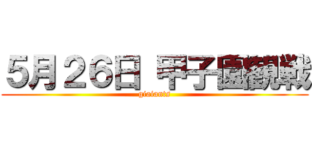 ５月２６日 甲子園観戦 (giaiants)
