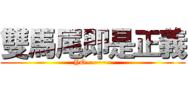 雙馬尾即是正義 (YO~~~~~)