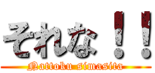 それな！！ (Nattoku simasita)