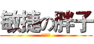 敏捷の胖子 (不服打我)