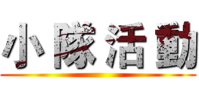 小 隊 活 動 ()