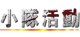 小 隊 活 動 ()