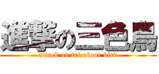 進撃の三色鳥 (attack on tricolour bird)
