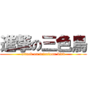 進撃の三色鳥 (attack on tricolour bird)