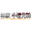 林家 中壇元帥 (attack on titan)