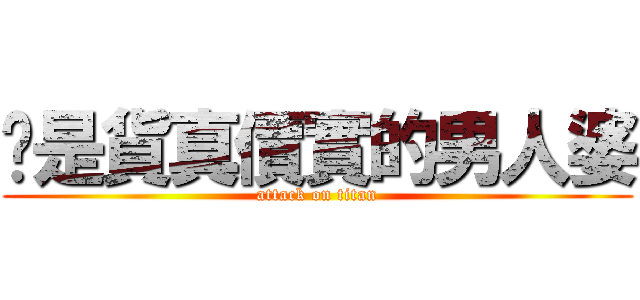 你是貨真價實的男人婆 (attack on titan)
