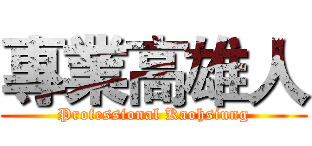 專業高雄人 (Professional Kaohsiung)