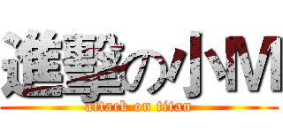 進擊の小Ｍ (attack on titan)