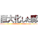 巨大化した豚 (attack on titan)