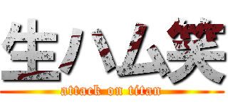 生ハム笑 (attack on titan)