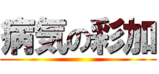 病気の彩加 ()