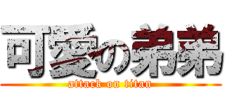 可愛の弟弟 (attack on titan)