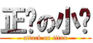 正经の小绿 (attack on titan)