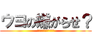 ウヨの嫌がらせ？ (ツイッター社へ報告ね！)