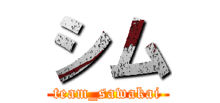 シム (team_sawakai)