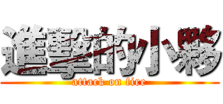 進擊的小夥 (attack on fire)