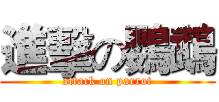 進擊の鸚鵡 (attack on parrot)