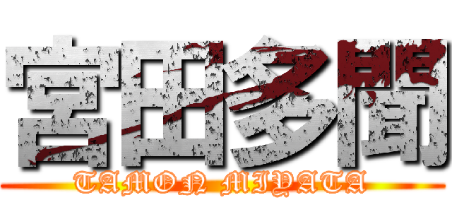 宮田多聞 (TAMON MIYATA)