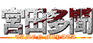 宮田多聞 (TAMON MIYATA)