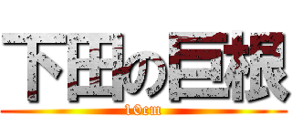 下田の巨根 (10cm)