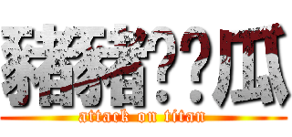 豬豬♥傻瓜 (attack on titan)