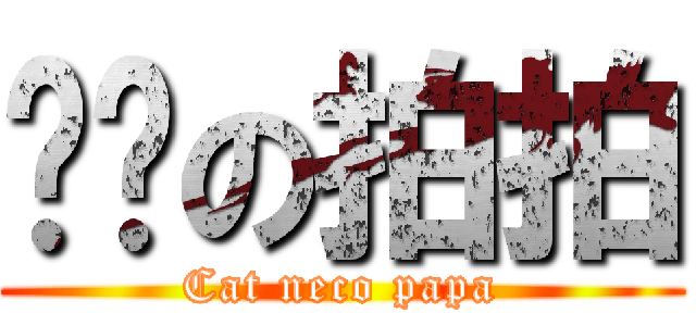 貓貓の拍拍 (Cat neco papa)