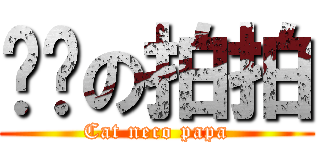 貓貓の拍拍 (Cat neco papa)