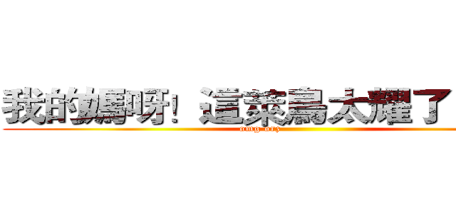 我的媽呀！這萊鳥太耀了！ＱＡＱ (omg orz                   )