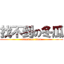 找不到の冬瓜 (attack on titan)