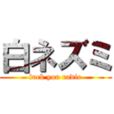 白ネズミ (fuck you radio)