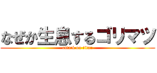 なぜか生息するゴリマツ (attack on titan)