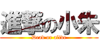 進撃の小朱 (Dead or alive)