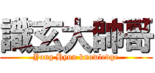 識玄大帥哥 (Yang Hyun knowledge)