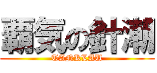 覇気の針潮 (TANKLAU)