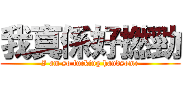 我真係好撚勁 (I am so fucking handsome)