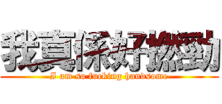 我真係好撚勁 (I am so fucking handsome)