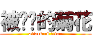 被进击的菊花 (attack on titan)