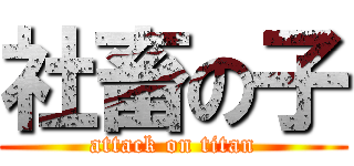 社畜の子 (attack on titan)