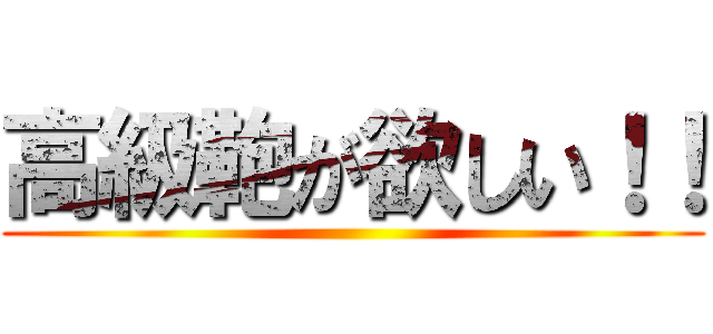 高級鞄が欲しい！！ ()