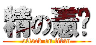 精の憲啊 (attack on titan)
