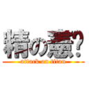 精の憲啊 (attack on titan)